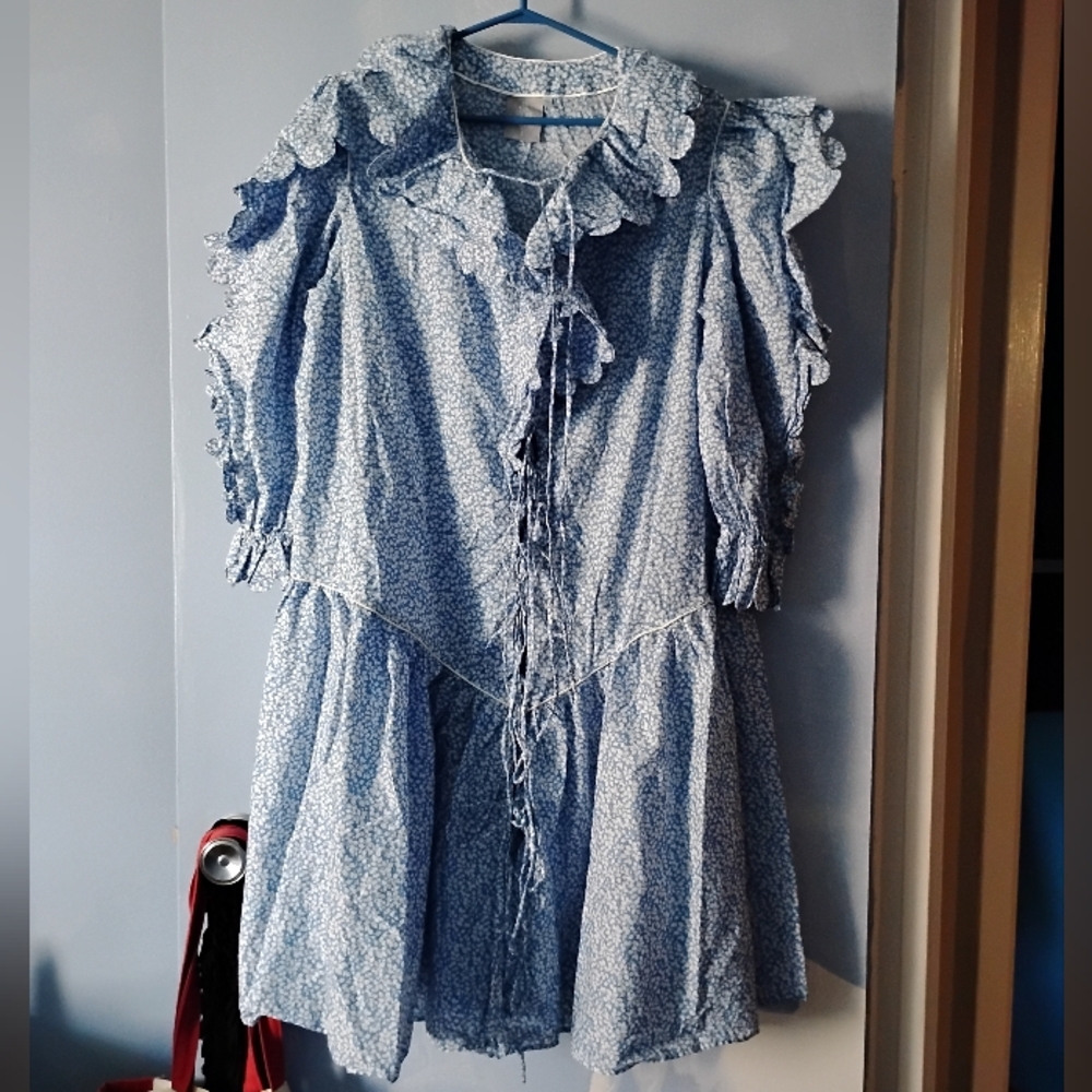 Horror Vacui Blue + White Marie Antoinette Print Cotton Scallop Edge Dress L